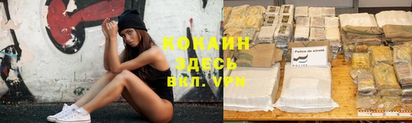 ГАЛЛЮЦИНОГЕННЫЕ ГРИБЫ Верея