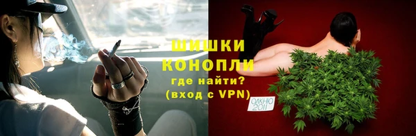 ГАЛЛЮЦИНОГЕННЫЕ ГРИБЫ Верея