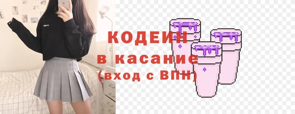 ГАЛЛЮЦИНОГЕННЫЕ ГРИБЫ Верея