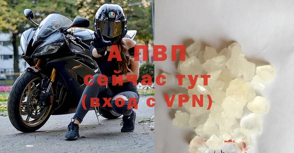 ГАЛЛЮЦИНОГЕННЫЕ ГРИБЫ Верея