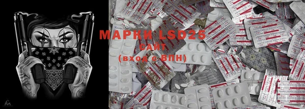 ГАЛЛЮЦИНОГЕННЫЕ ГРИБЫ Верея
