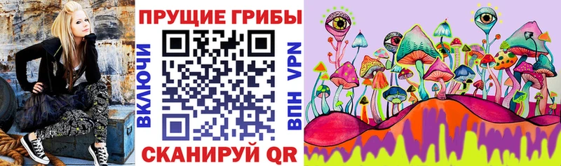Купить  Кяхта  Галлюциногенные грибы MAGIC MUSHROOMS 